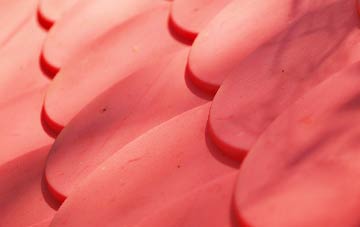 Knole plastic roof costs